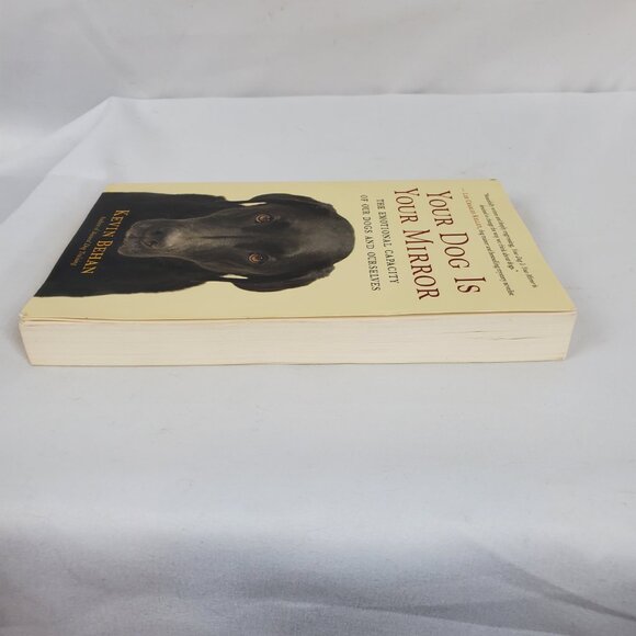 Your Dog is Your Mirror By Kevin Behan Paperback Book - Picture 3 of 9